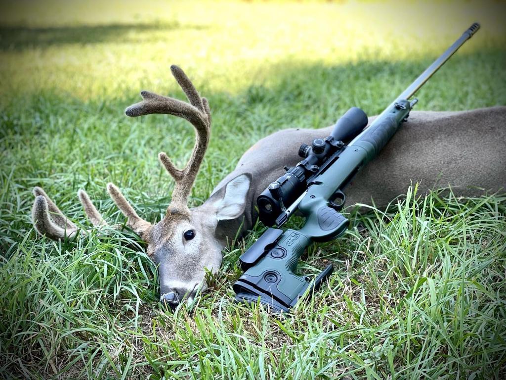 Michigan Whitetail hunt 2022